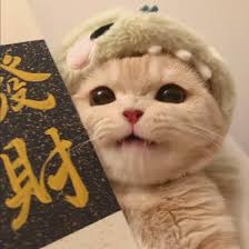 Avatar do usuário João R.